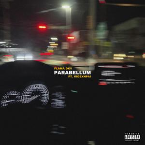 PARABELLUM (feat. KidSxnpai) [Explicit]