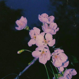 Falling In Love (feat. Isabella Adams) (Explicit)