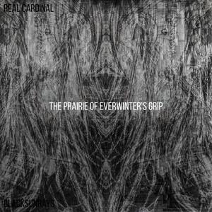 The Prairie of Everwinter's Grip