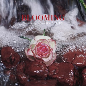 Blooming