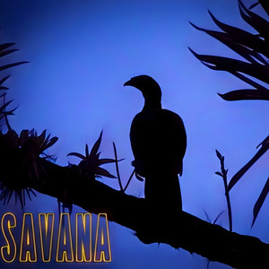 Savana (ao Vivo em Curitiba)