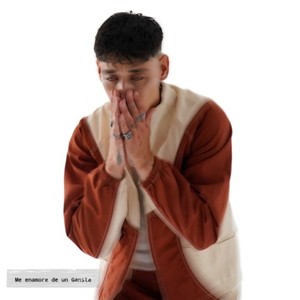 Me Enamoré de un Gangster (Explicit)