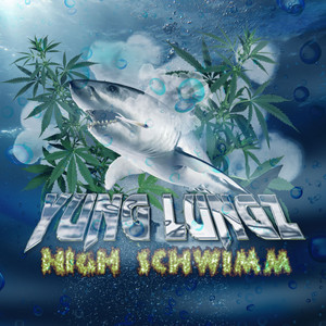 High Schwimm (Explicit)
