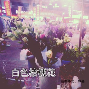 白色桔梗花