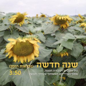 שנה חדשה - נפלאות הזמן