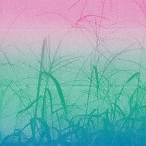 A Gain / Stoned Again Or (Seahawks Remix)