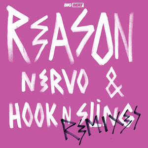 Reason (TV Noise Remix)封面