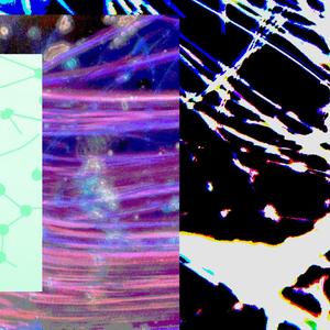 all i want (freestyle) (Explicit)