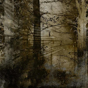 Nothing left to lose (feat. Shydh) (Explicit)