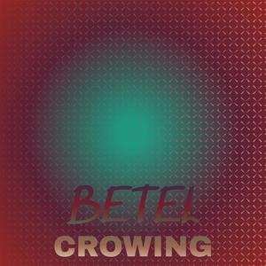 Betel Crowing