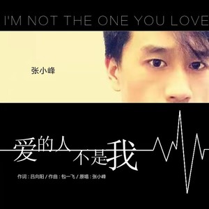 爱的人不是我