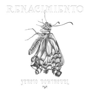 Renacimiento