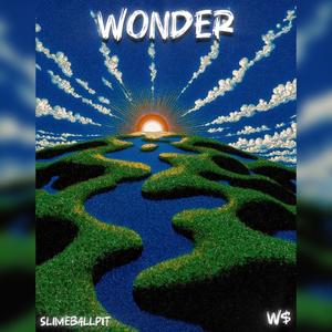 Wonder (Explicit)
