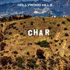 Hollywood Hills (feat. VZN) (Explicit)