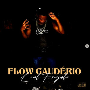 Flow Gaudério (Explicit)