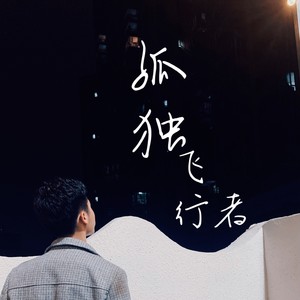 孤独的飞行者