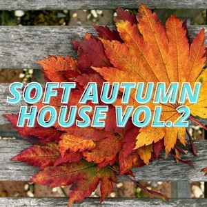 Soft Autumn House Vol.2