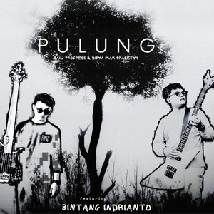 Pulung