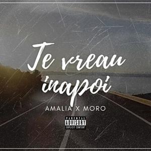 Te vreau înapoi(feat. Amalia) (Explicit)