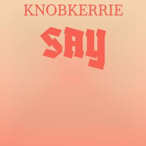 Knobkerrie Say