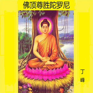 佛顶尊胜陀罗尼