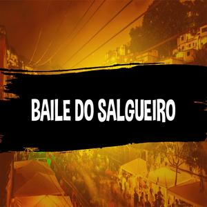 Baile do Salgueiro (Explicit)