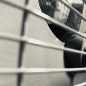 A Whisper Of Peace (Live)