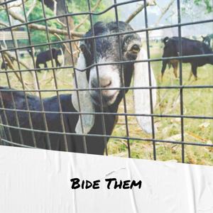 Bide Them