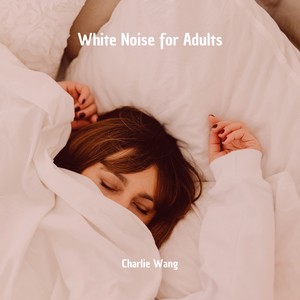 White Noise for Adults