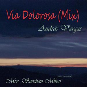 Via Dolorosa (Mix) (feat. Mihai Sorohan) [Remixed Version]