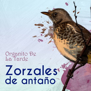 Zorzales de Antaño…Organito De La Tarde