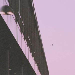 The Light Is Coming (Demo Version)