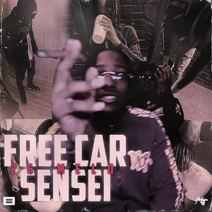 FREE CAR SENSEI (Explicit)