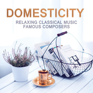 Domesticity: Relaxing Classical Music Famous Composers (Bach, Beethoven, Mozart, Dvořák, Brahms, Schubert, Tchaikovsky) Songs for Reading, Study Time, Bedtime and Rest - Classical Chillout