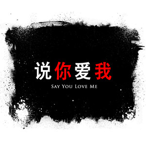 Say You Love Me