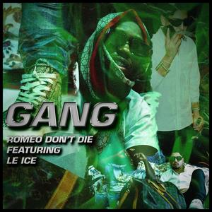 Gang (feat. Le Ice) (Explicit)