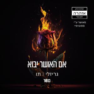 אם האושר יבוא (feat. Tav)