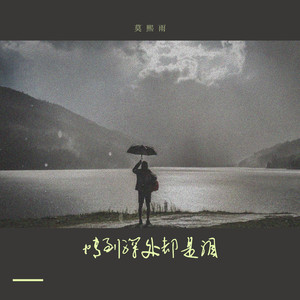 情到深处都是泪