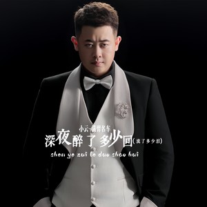 深夜醉了多少回（流了多少泪）