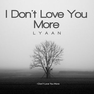 I don't Love You More