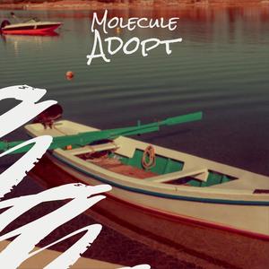 Molecule Adopt