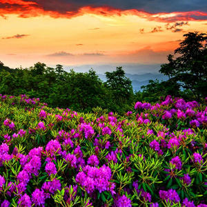 Oh Dios, Mi Soberano Rey (feat. Edilson Abdiel)