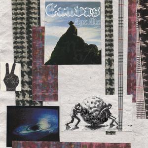 Sonoran Desert Toad (Explicit)