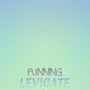 Punning Levigate