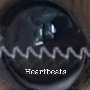 Heartbeats