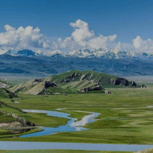 呼伦贝尔大草原