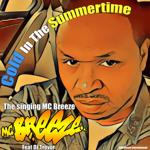 Cold in the Summertime (feat. DJ Trevor) (Remix)