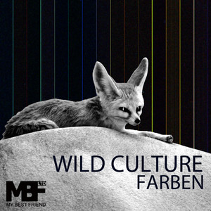 Farben (Philipp Straub Remix)