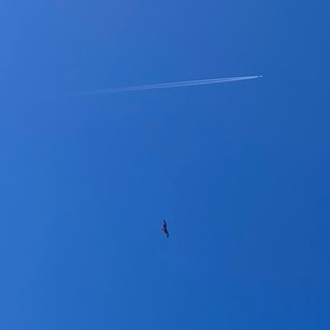 i can't wait for science to invent magic