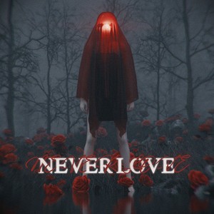 Never Love